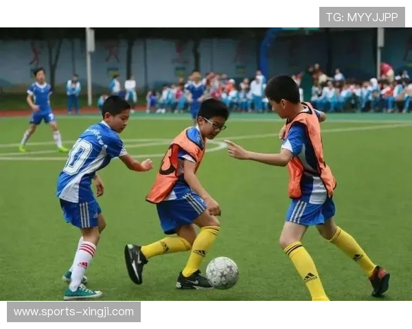 企鹅体育：助力青少年体育教育与健康成长的理想平台